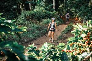 BIB: 
                            <button type="button" onclick="openModal(25844236)" class="btn btn-primary btn-sm float-right btn-popup" data-toggle="modal" data-target=".modal-high-quality">
                        <i class="fas fa-shopping-cart"></i> Add to Cart
                    </button>
                                            <button type="button" onclick="isThisMe(25844236, true)" class="btn btn-success btn-sm float-right btn-popup btn-isme hidden" data-toggle="tooltip" data-placement="bottom" title="นี่คือรูปของคุณใช่ไหม คลิกที่นี่เพื่อเอาเข้าอัลบั้ม">
                        <i class="fas fa-plus"></i> Add to album
                    </button>
                    <button type="button" onclick="isThisMe(25844236, false)" class="btn btn-warning btn-sm float-right btn-popup btn-isnotme hidden">
                        <i class="fas fa-ban"></i> Remove from album
                    </button>